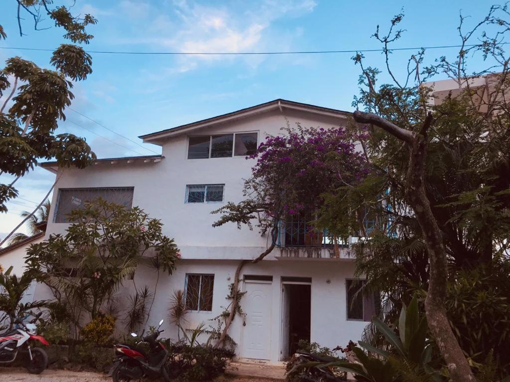 New Moringa Apartamento Las Terrenas Exterior foto