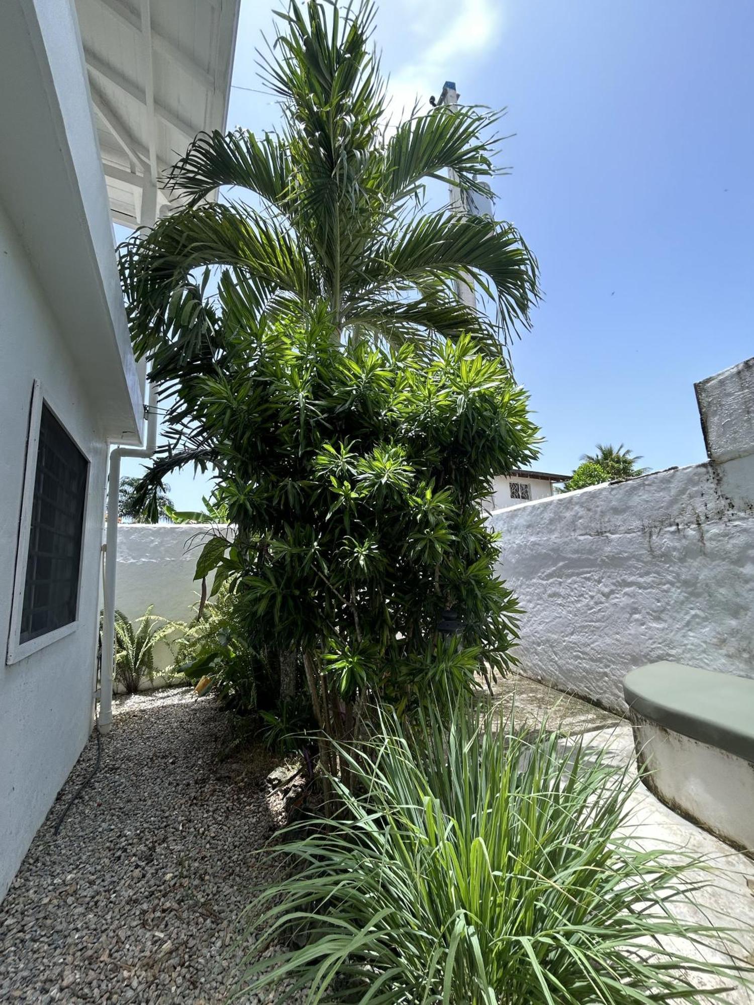 New Moringa Apartamento Las Terrenas Exterior foto